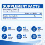POWERBIRTH Micronized Creatine Monohydrate - 图片 3